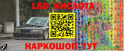 прущие крисы Славгород