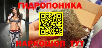 молекула духа Славянск-на-Кубани