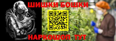 прущие крисы Славгород
