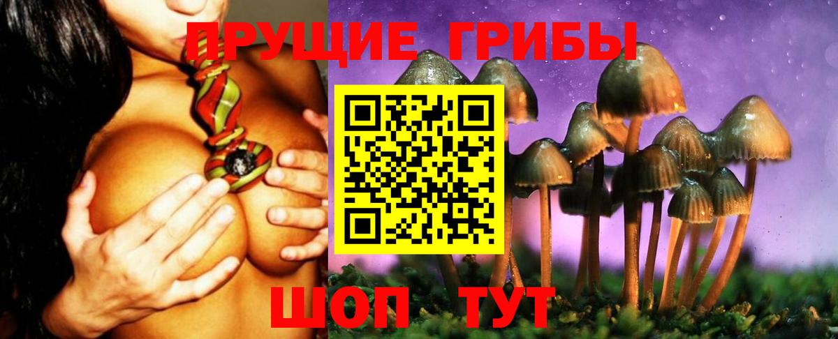Самара  Галлюциногенные грибы Psilocybine cubensis  Вход с VPN  Псилоцибиновые грибы мицелий 